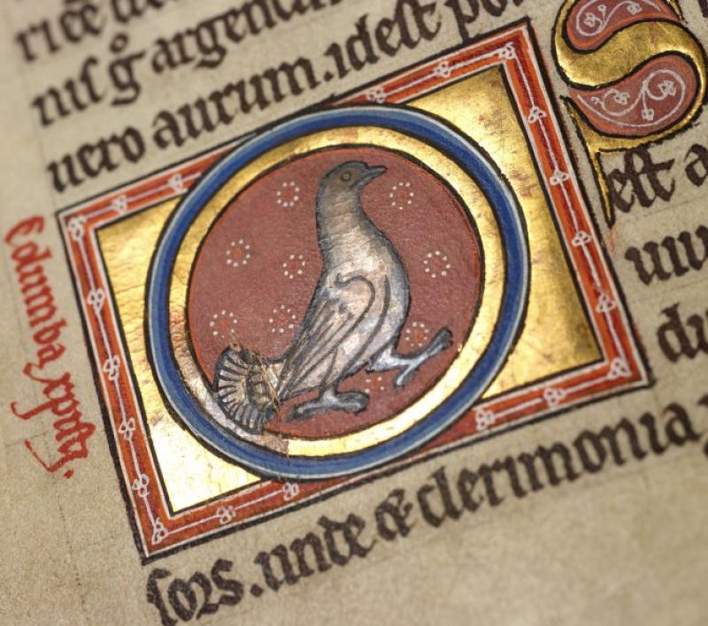 Illuminated Manuscript.jpg