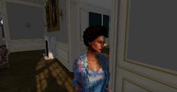 Diary of Mademoiselle la Princesse d'Aïana