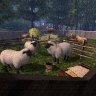 The Choral of the Sheep