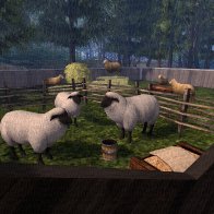 The Choral of the Sheep