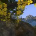 Sorrentina Shared Seas 1