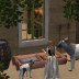 New Goats Arabella and Armand