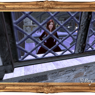 Through my window...