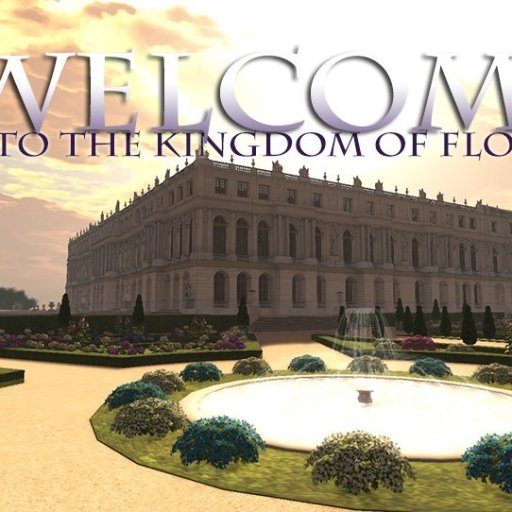 Kingdom of Florin new look