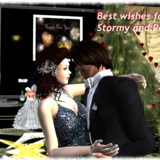 Best wishes for 2013 from Stormy and Pekel