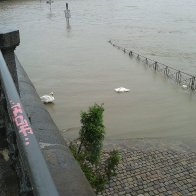 Prague underwater