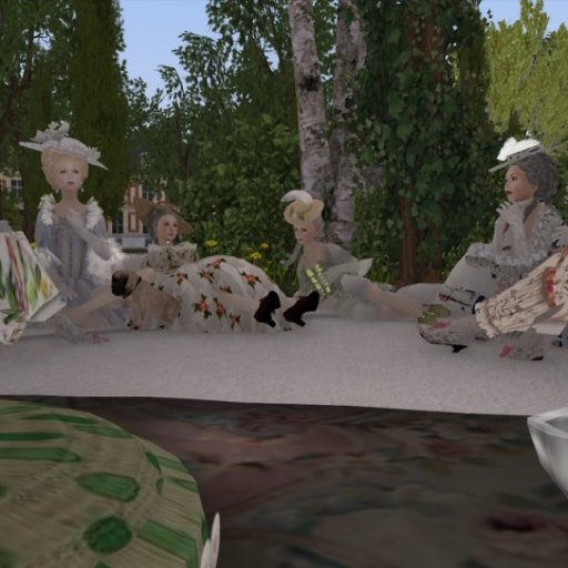 picnic with Marie antoinette 4