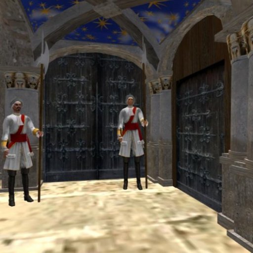 Pontifical Aula Guards