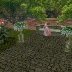 The Garden.....
