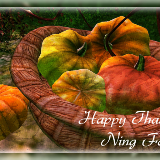 Happy Thanksgiving Ning Family