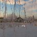 Winter Skating Party - (OOC)