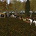 Fox Hunt in the woods around Potsdam.....