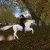 The furious Huntsman.......