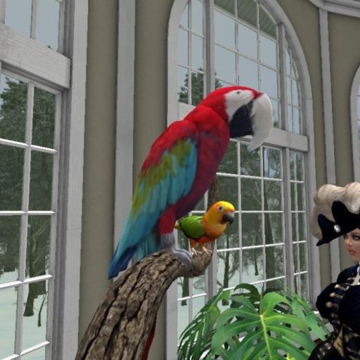 Lady Freda in Denmark, the aviary