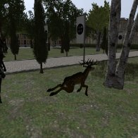 Chasse Royale &agrave; Versailles