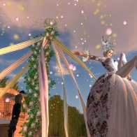 The Fair Faeries