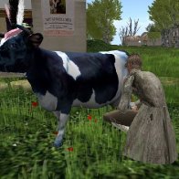 Milking pose with Courtsie