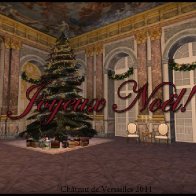 Merry Christmas from Château de Versailles!