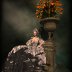 Shadow on brocade