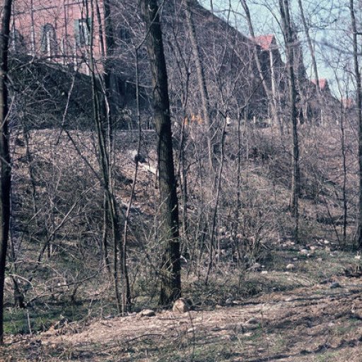 Venaria Reale - dal bosco