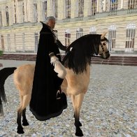 Versailles Horsemen