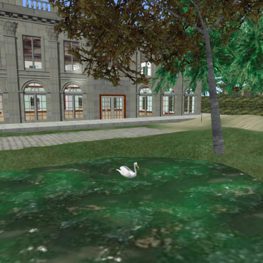 Pond at Portugal sim