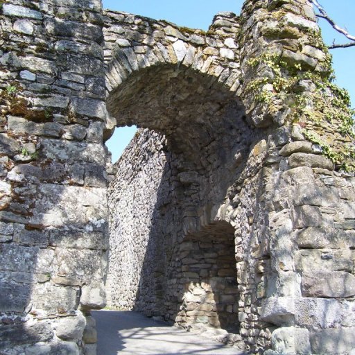 Allinges (fortress): ruins