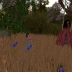 Villa's Provence Garden - Stormy Visits_001