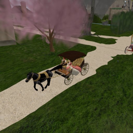Carriage Race 003